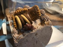 -今日·TODAY手作低脂动物奶油蛋糕定制(高新万达店)