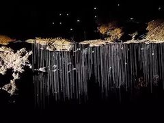 -怀托摩萤火虫洞