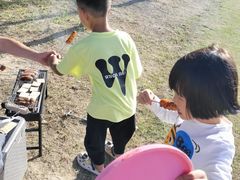 -春花秋色城市公园