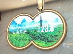 -霸王茶姬(公园1903店)