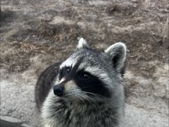 -石家庄市动物园