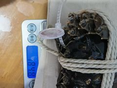 -阳澄湖大闸蟹·琼灵阁牌品牌连锁(吴中总店)