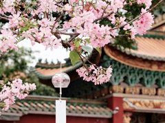 -宝墨园景区