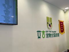 -艾吉宠物医院·疑难杂症转诊中心·猫友好(碧江路院)