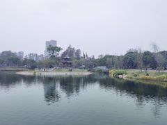 -四海公园(南山区)