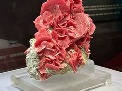 -湖南省地质博物馆