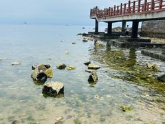 -养马岛旅游度假区