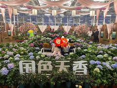 -盈香心动乐园