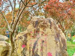 -广州市帽峰山景区
