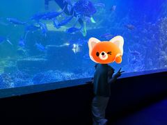 -嘉兴海底世界