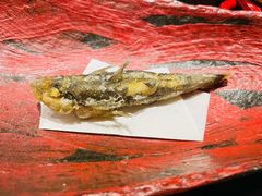 -町家Machiya(泰府·名邸店)