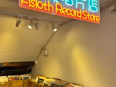 -树懒黑胶唱片店(中山路店)