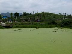 picture-乐天花谷