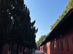 -南岳衡山风景名胜区