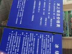 -紫竹院公园冰场