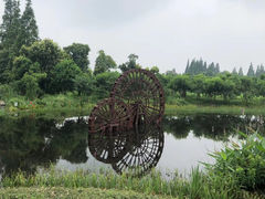 -长田漾湿地公园