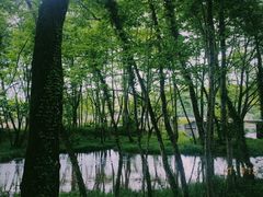 -西溪南古村落景区