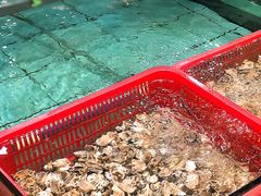 -渔民新村(番禺总店)