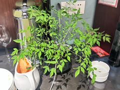 -小厨娘淮扬菜(天印大道店)