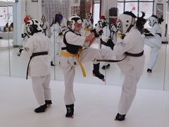 -极真空手道修远道场