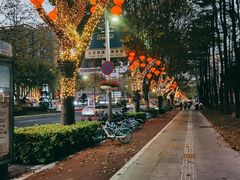 -文华公园(禅城区)
