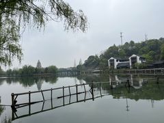 -鲁镇