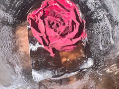 -BRONZE(双井店)