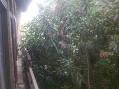 201105214524-南京夫子庙国际青年旅舍(平江府路店)