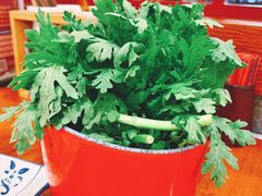 -乐宴·老北京铜火锅(桂庙店)