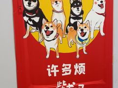 -柴犬小屋·柴餐厅·狗咖食堂(金鼎广场店)
