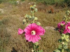 -永定河休闲森林公园