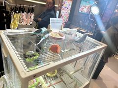 -丽达购物中心(崂山店)