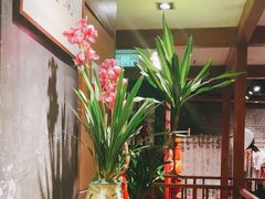 -青藤茶馆(南山路店)