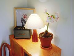 -本無咖啡·BeanWood Coffee