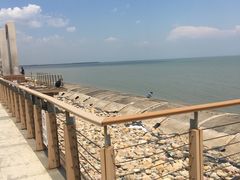 -东疆建设开发纪念公园