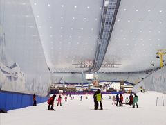 -老号尤兔头(幸福店)