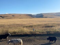 -青海湖国家重点风景名胜区