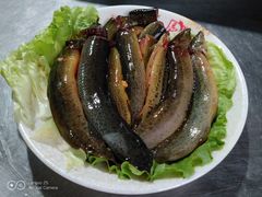 -马帮寨院坝火锅(龙港公园店)