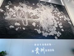 -贵州省地质博物馆