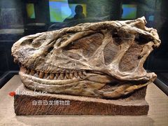 -自贡恐龙博物馆