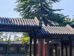 -高旻寺