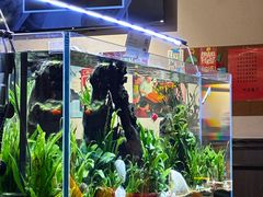 -阿莉餐厅(枣阳路店)