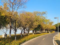 -阳澄湖半岛旅游度假区