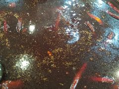 -大龙火锅(老店)