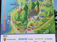 -西霞口神雕山野生动物世界