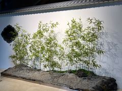 -辽宁省博物馆
