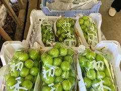 -马陆小张葡萄园农家乐