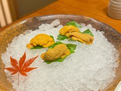 -月龍吟(朝龙汇店)