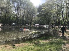 -长白岛森林公园