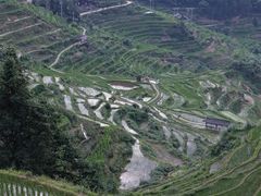 -紫鹊界梯田景区